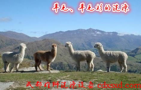 8b13632762d0f7030cf12dba0bfa513d2697c511.jpg 8b13632762d0f7030cf12dba0bfa513d2697c511.jpg